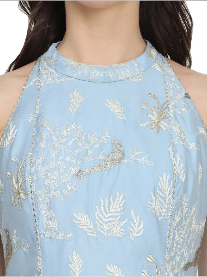 Ashna, Sharara Indo western set (Blue).