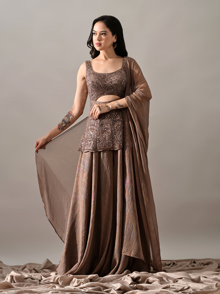 Sophia Embroidered Net Indo-Western Sharara Set (Brown)