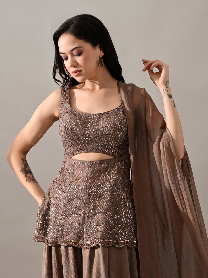 Sophia Embroidered Net Indo-Western Sharara Set (Brown)
