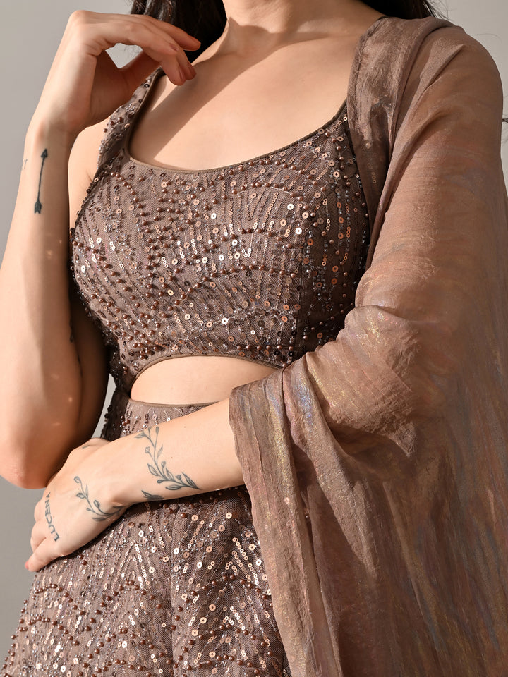 Sophia Embroidered Net Indo-Western Sharara Set (Brown)