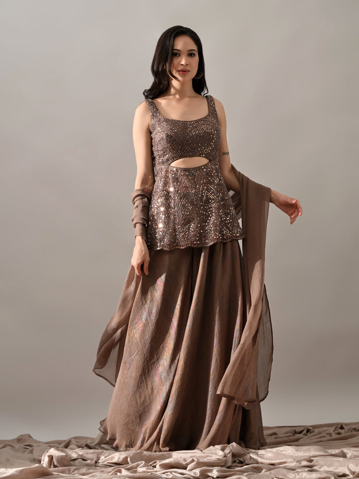 Sophia Embroidered Net Indo-Western Sharara Set (Brown)