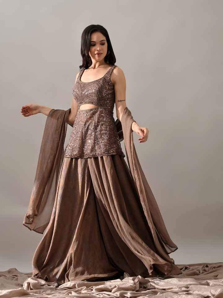 Sophia Embroidered Net Indo-Western Sharara Set (Brown)