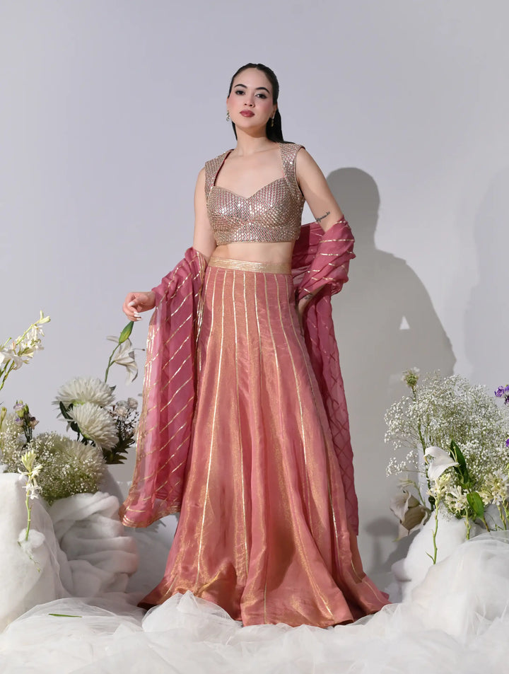Nafre Shimmer Lehenga Set (Pink)