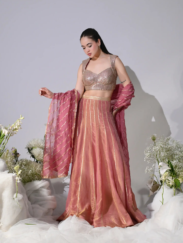 Nafre Shimmer Lehenga Set (Pink)