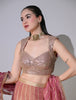 Nafre Shimmer Lehenga Set (Pink)